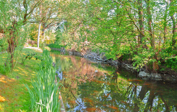 Feriehus - Rheinsberg , Tyskland - DZV428 901