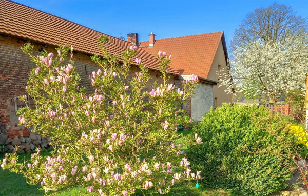 Ferienwohnung Ferienwohnung Rheinsberg