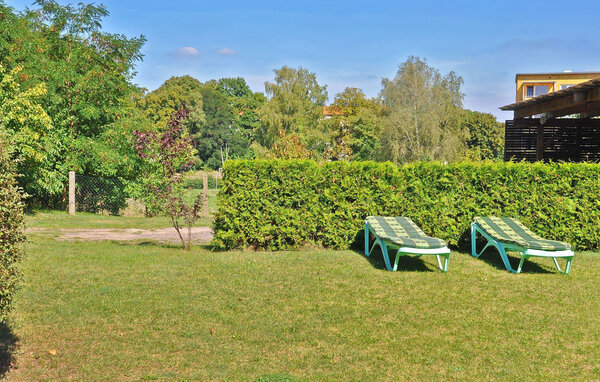 Ferienwohnung - Lychen , Deutschland - DZV443 2