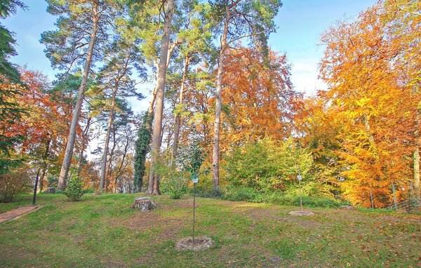 Ferienwohnung - Waren (Müritz) , Deutschland - DZV445 902