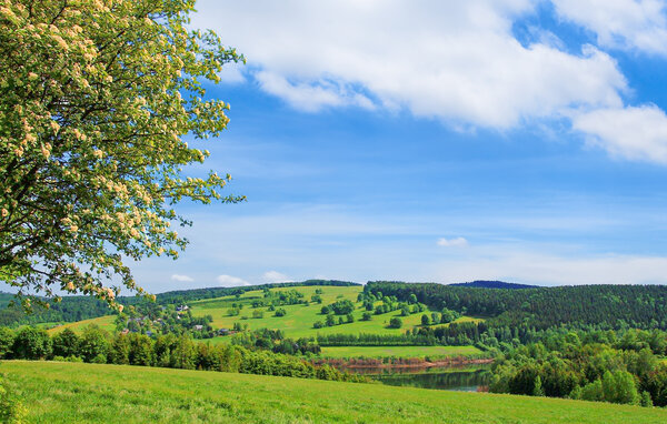 Semesterlägenhet - Neuhausen , Tyskland - DZV513 902