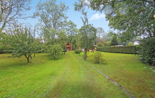 Ferienhaus - Bartelshagen II , Deutschland - DZV523 101