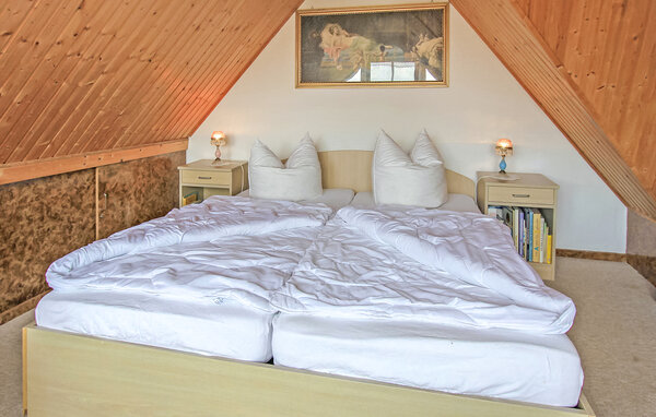 Ferienhaus - Zettemin OT Rützenfelde , Deutschland - DZV550 601