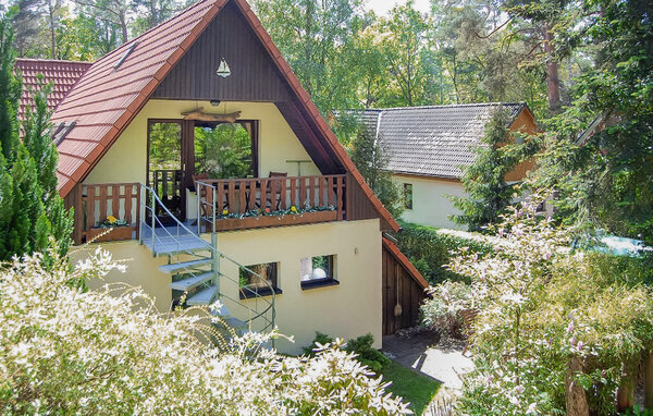 Ferienwohnung Ferienwohnung Dierhagen