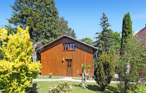 Ferienwohnung - Bodstedt , Deutschland - DZV557 1