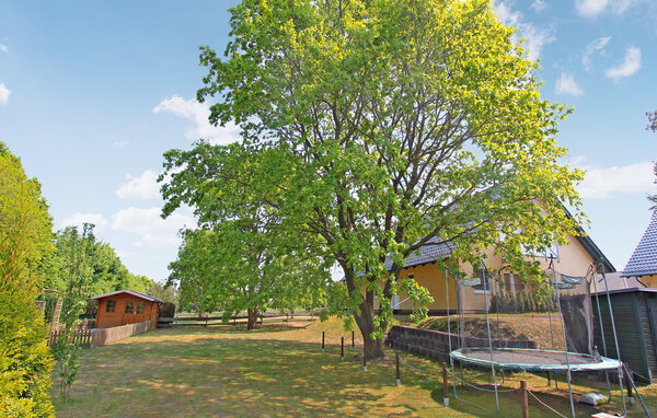 Ferienwohnung - Zempin (Seebad) , Deutschland - DZV558 2