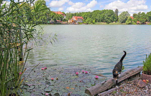 Ferienwohnung - Feldberger Seenlandschaft OT F , Deutschland - DZV562 104