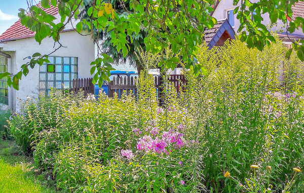 Ferienhaus - Mirow OT Qualzow , Deutschland - DZV575 103