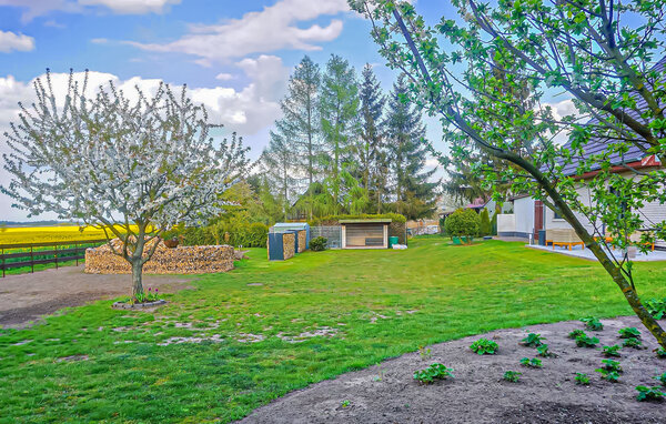 Ferienwohnung - Woldegk , Deutschland - DZV598 102
