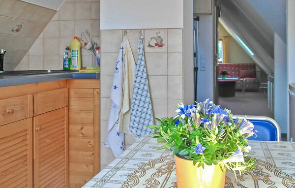 Ferienwohnung - Neuhermsdorf , Deutschland - DZV604 8
