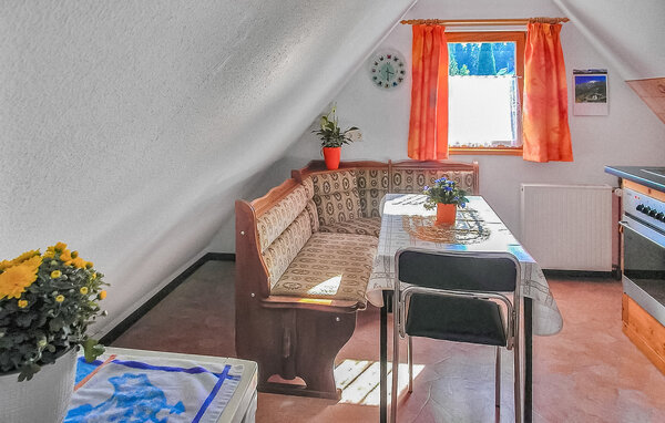 Ferienwohnung - Neuhermsdorf , Deutschland - DZV604 4