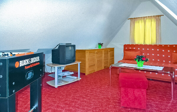 Ferienwohnung - Neuhermsdorf , Deutschland - DZV604 5