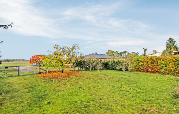 Appartement - Ahlbeck bei Ueckermünde , Duitsland - DZV691 2