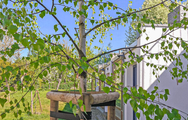 Ferienwohnung - Mirow , Deutschland - DZV699 101