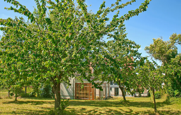 Ferienwohnung - Mirow , Deutschland - DZV699 102