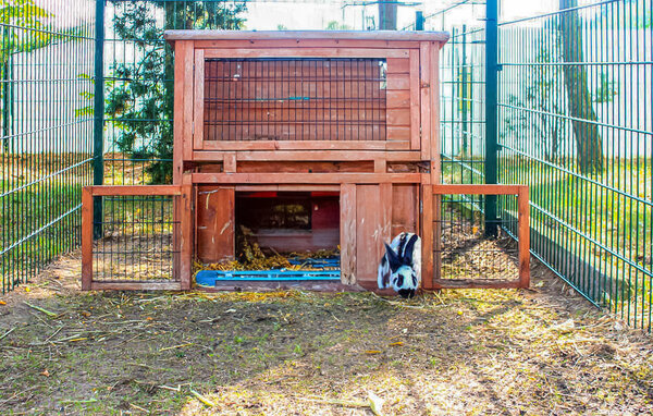 Appartamento - Sommersdorf , Germania - DZV711 106