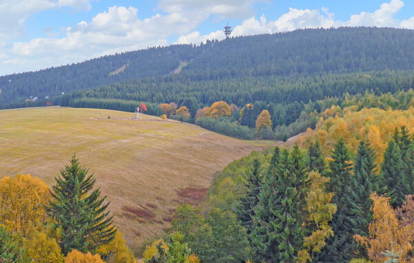 Apartment - Oberwiesenthal , Germany - DZV716 901