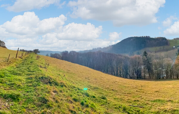 Semesterlägenhet - Schwarzenberg , Tyskland - DZV764 904