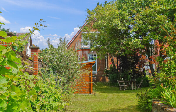 Ferienhaus - Wokuhl-Dabelow , Deutschland - DZV800 101