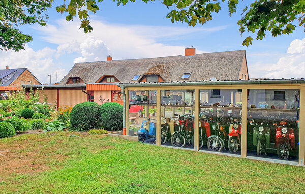 Ferienwohnung - Poseritz , Deutschland - DZV806 906