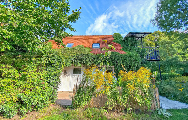 Apartment - Waren (Müritz) , Germany - DZV824 81
