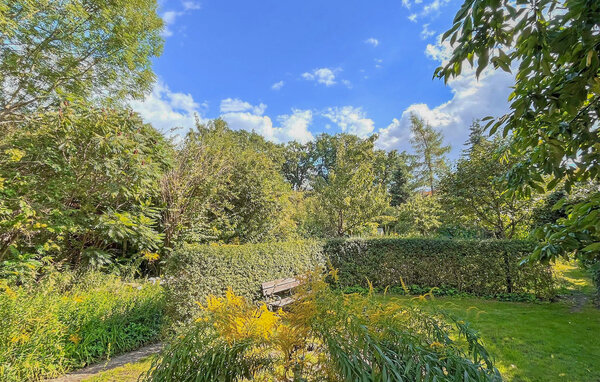 Apartment - Waren (Müritz) , Germany - DZV824 101