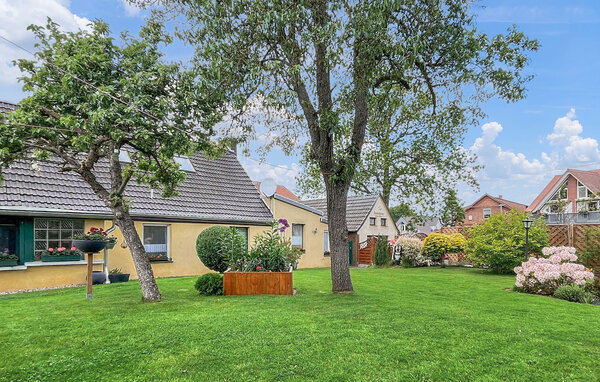 Ferienwohnung - Ueckermünde (Seebad) , Deutschland - DZV831 1