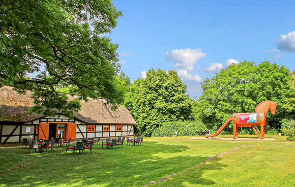 Ferienwohnung - Ankershagen OT Friedrichsfelde , Deutschland - DZV842 110