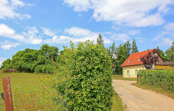 Apartment - Walow OT Strietfeld , Germany - DZV848 1