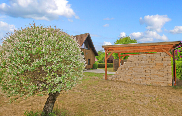 Ferienwohnung - Zislow , Deutschland - DZV851 7