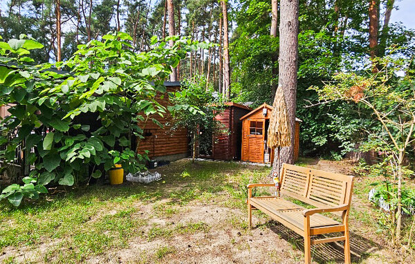 Ferienhaus - Südmüritz , Deutschland - DZV871 81