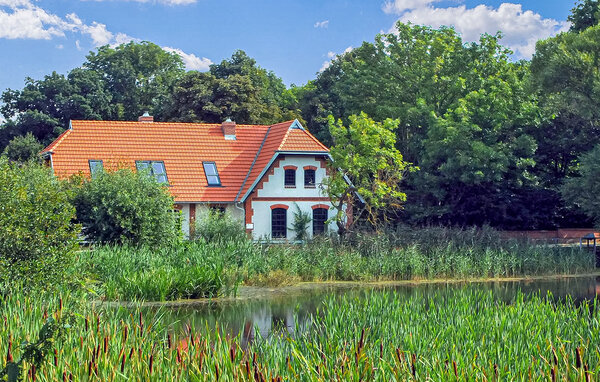 Ferienhaus - Hohen Demzin , Deutschland - DZV874 1