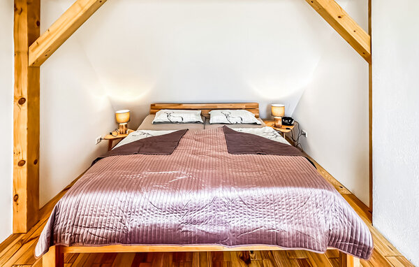 Ferienhaus - Altwarp , Deutschland - DZV892 601