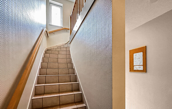 Ferienwohnung - Trassenheide (Ostseebad) , Deutschland - DZV932 503