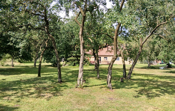 Kuća-za-odmor - Dobbin , Njemacka - DZV935 9
