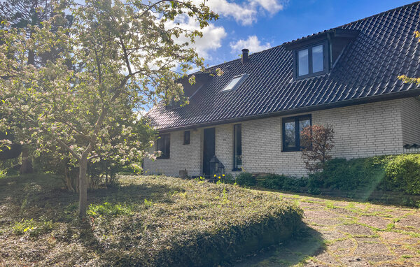 Domy wakacyjne - Ravnsnæs , Dania - E01015 81