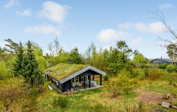 Ferienhaus - Hornbæk Strand , Dänemark - E02909 2