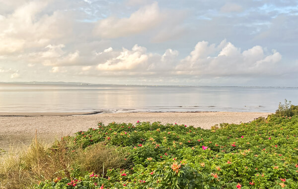 Location de vacances - Hornbæk Strand , Danemark - E02939 902