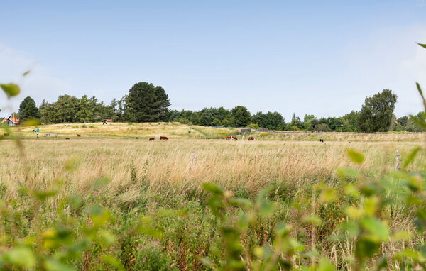 Ferienhaus - Villingebæk Strand , Dänemark - E02975 901