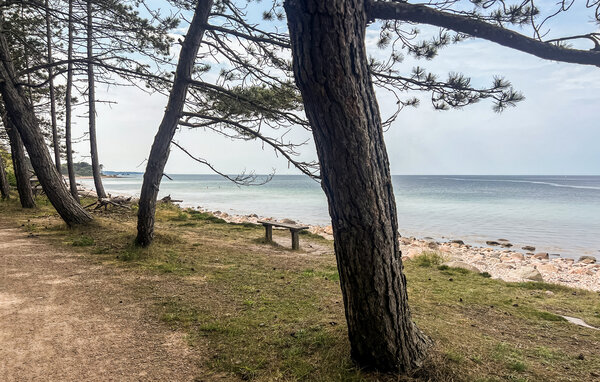 Semesterhus - Hornbæk Strand , Danmark - E02993 901