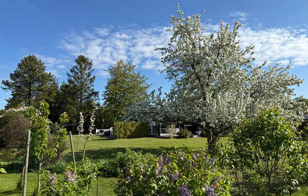 Feriehus - Udsholt Strand , Danmark - E05104 201