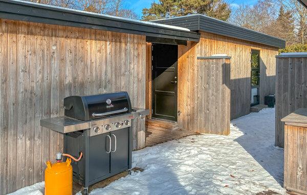 Ferienhaus - Rågeleje Strand , Dänemark - E07292 101