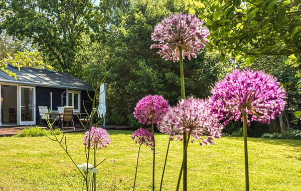 Ferienhaus - Vejby Strand , Dänemark - E09711 104
