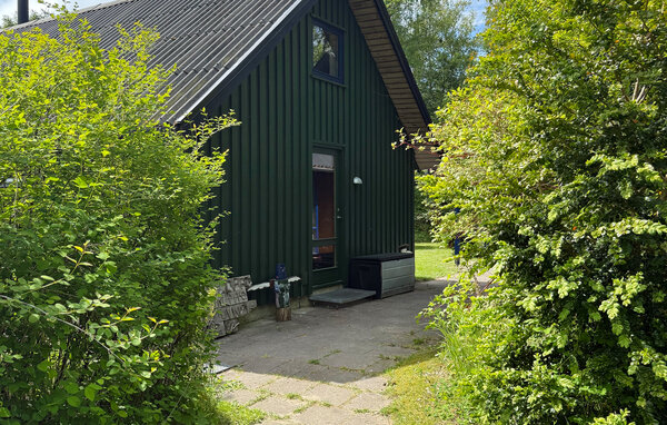 Feriehuse - Liseleje Strand , Danmark - E11016 81