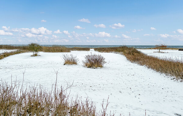 Feriehuse - Hou Strand , Danmark - E11017 2