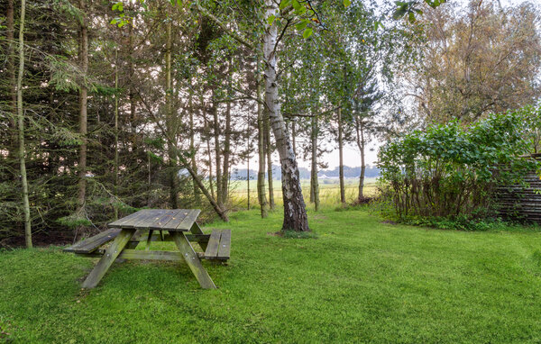 Ferienhaus - Liseleje Strand , Dänemark - E11326 2