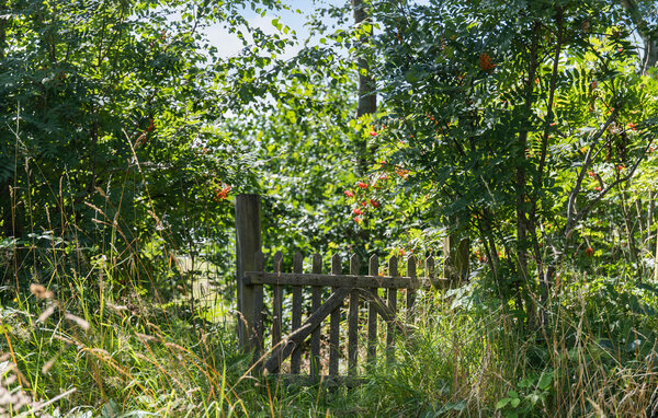 Feriehus - Liseleje Strand , Danmark - E11349 105