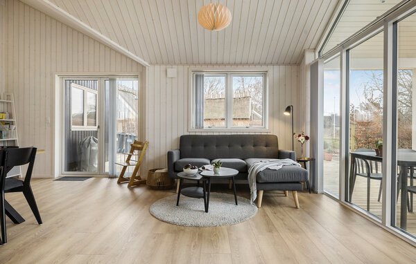 Ferienhaus - Liseleje Strand , Dänemark - E11362 4
