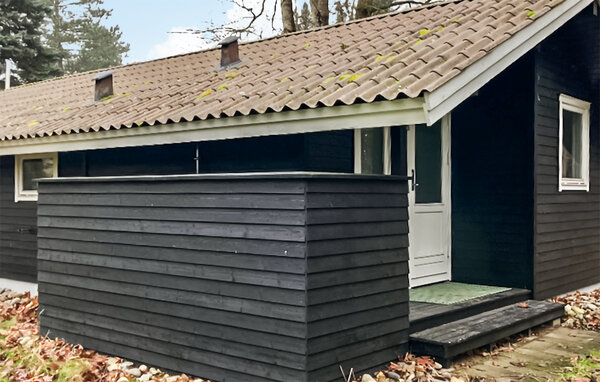 Ferienhaus - Liseleje Strand , Dänemark - E13021 81