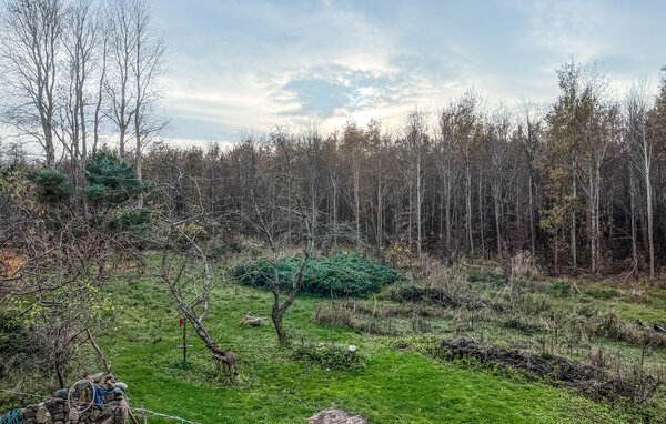 Ferienwohnung - Kikhavn , Dänemark - E13045 101